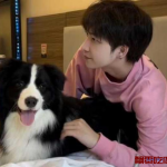 快手韩昊霖Aby PUA女粉事件,承诺结婚买房买车结果不承认被曝光